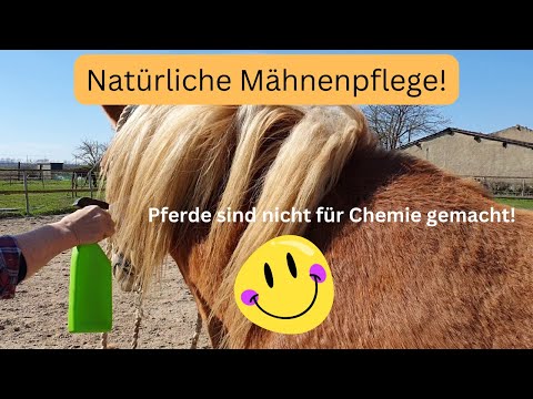 Mähnenpflege mit natürlichem Pflegemittel. So mache ich es. Ohne Chemie!