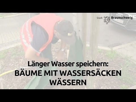 Baumbewässerung mit Wassersäcken in Braunschweig