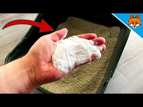 Kippe DAS ins Katzenklo und STAUNE WAS PASSIERT 💥 (Genial) 🤯
