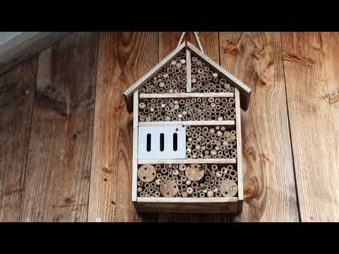 Wildbienen Frühjahr 20201 in der Eifel - jetzt geht es um den Nestbau Bienenkasten