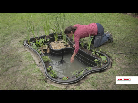 Gartenteich anlegen | Schritt-für-Schritt-Anleitung