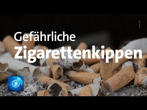 Gefahr für die Umwelt: Zigarettenstummel