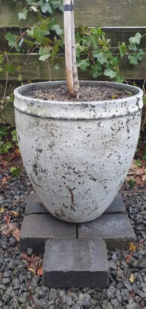 Wilde Pflanzen im Garten 2 Retro Pflanzenkübel weiß