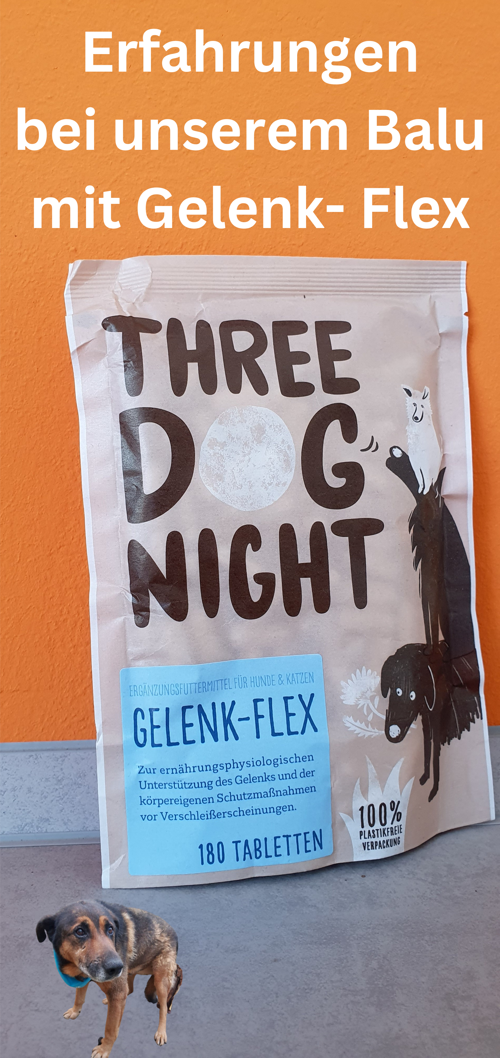 Gelenk-Flex Hund Erfahrungen. Three Dog Night bei Rückenprobleme Meinungen.