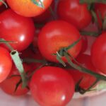 Frische Tomaten, natürlich BiO